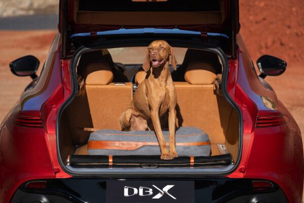 Dog Bed in Black or Tan - Image 2