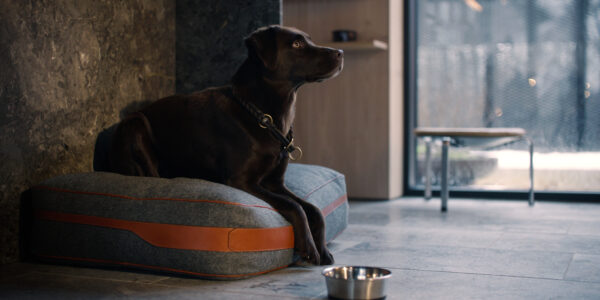 Dog Bed in Black or Tan